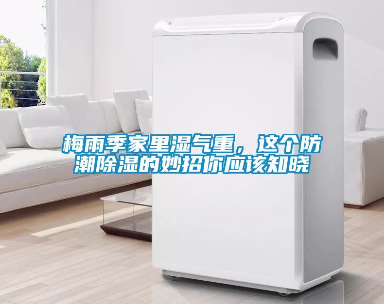 梅雨季家里濕氣重，這個防潮除濕的妙招你應該知曉