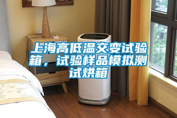 上海高低溫交變試驗箱，試驗樣品模擬測試烘箱