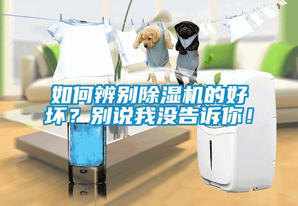 如何辨別除濕機的好壞？別說我沒告訴你！