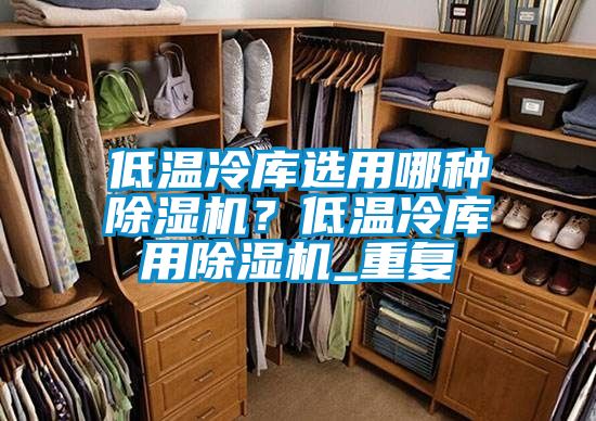 低溫冷庫選用哪種除濕機？低溫冷庫用除濕機_重復(fù)
