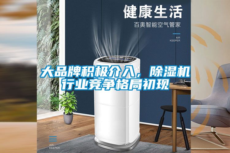 大品牌積極介入，除濕機行業(yè)競爭格局初現