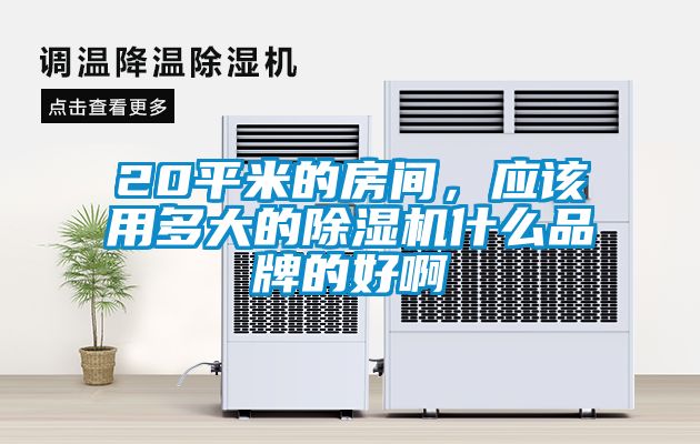 20平米的房間，應該用多大的除濕機什么品牌的好啊