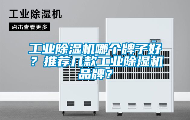 工業(yè)除濕機哪個牌子好？推薦幾款工業(yè)除濕機品牌？