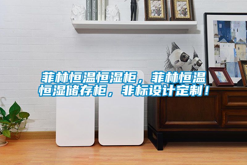 菲林恒溫恒濕柜，菲林恒溫恒濕儲存柜，非標設計定制！