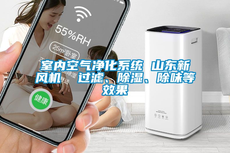 室內(nèi)空氣凈化系統(tǒng) 山東新風(fēng)機(jī)  過濾、除濕、除味等效果