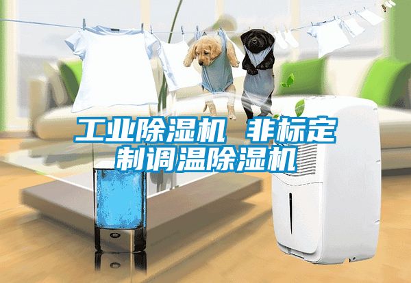 工業(yè)除濕機 非標(biāo)定制調(diào)溫除濕機