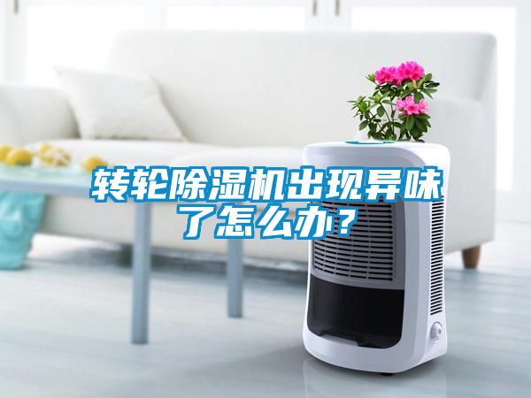 轉輪除濕機出現異味了怎么辦？