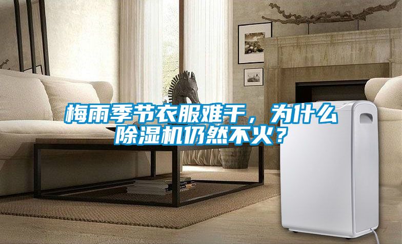 梅雨季節(jié)衣服難干，為什么除濕機仍然不火？