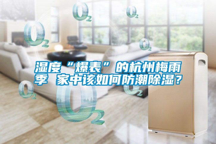 濕度“爆表”的杭州梅雨季 家中該如何防潮除濕？