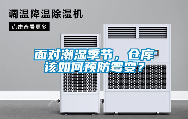 面對潮濕季節，倉庫該如何預防霉變？