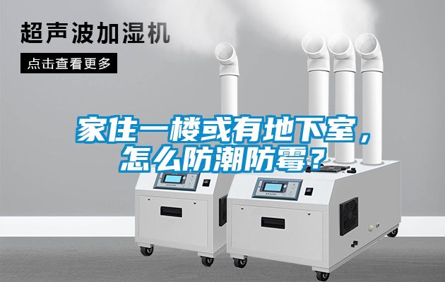 家住一樓或有地下室，怎么防潮防霉？