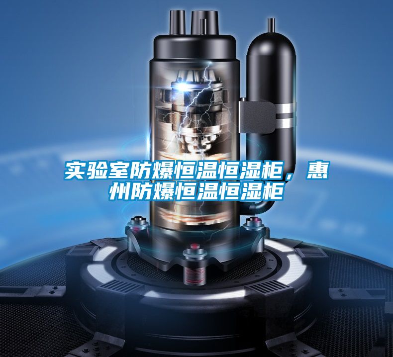 實驗室防爆恒溫恒濕柜，惠州防爆恒溫恒濕柜