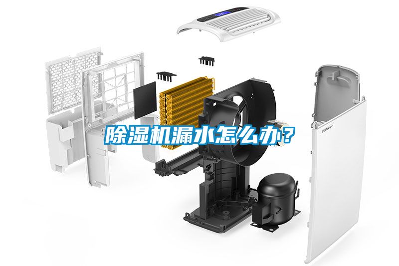 除濕機漏水怎么辦？