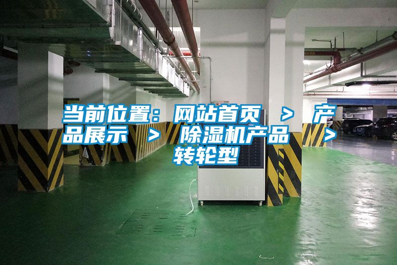 當前位置：網(wǎng)站首頁 ＞ 產(chǎn)品展示 ＞ 除濕機產(chǎn)品  ＞ 轉輪型