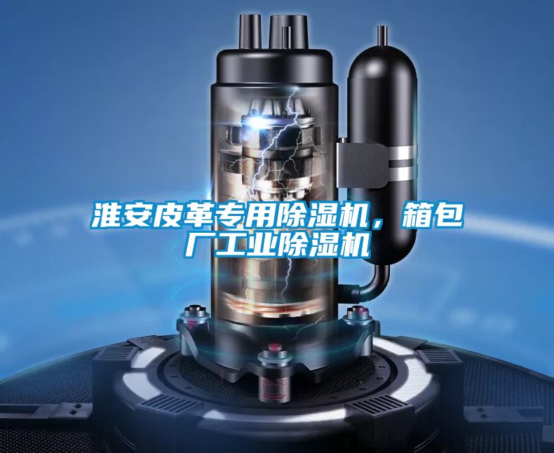 淮安皮革專用除濕機(jī)，箱包廠工業(yè)除濕機(jī)