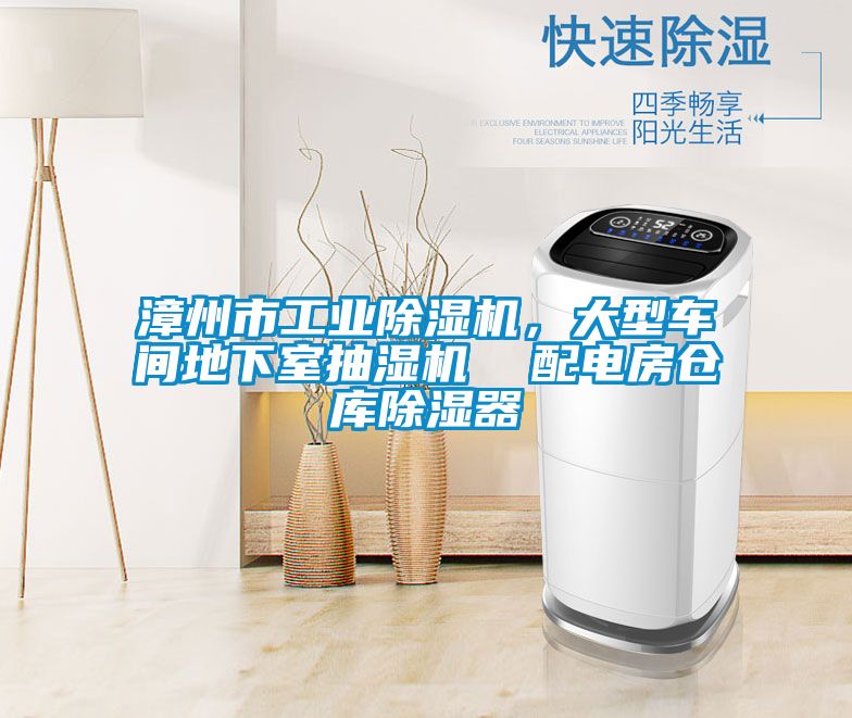 漳州市工業(yè)除濕機(jī)，大型車(chē)間地下室抽濕機(jī)  配電房倉(cāng)庫(kù)除濕器