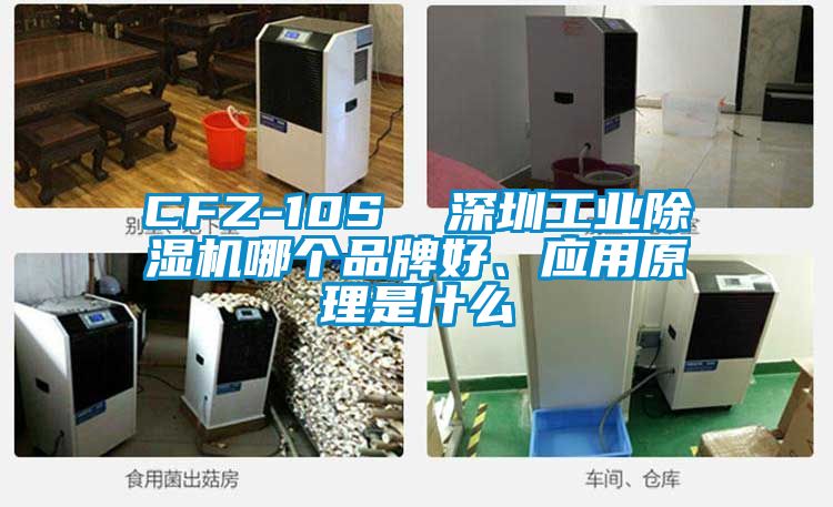 CFZ-10S  深圳工業除濕機哪個品牌好、應用原理是什么